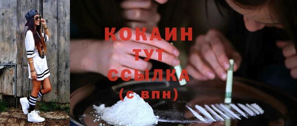 хмурый Арсеньев