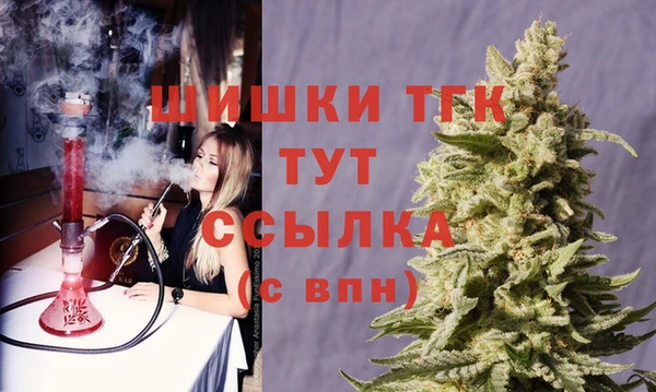 хмурый Арсеньев