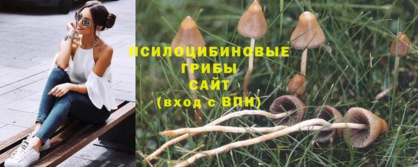 хмурый Арсеньев