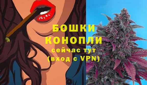 амф Аркадак