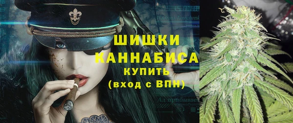 хмурый Арсеньев