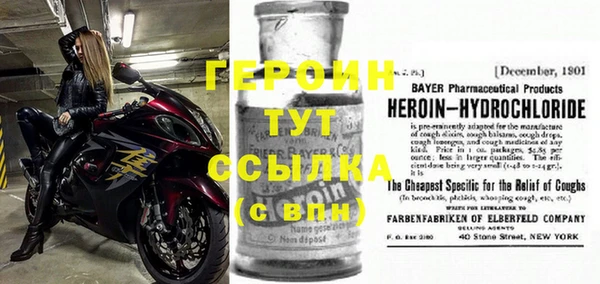 хмурый Арсеньев