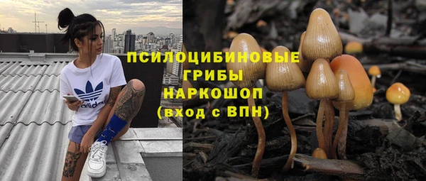 хмурый Арсеньев