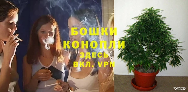 амф Аркадак