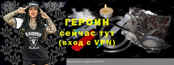 хмурый Арсеньев