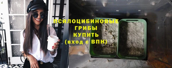 амф Аркадак